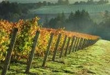 Mt. Hood Loop Adventure